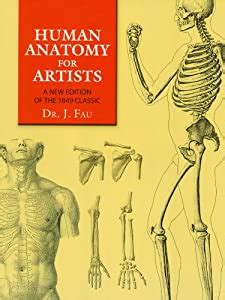 The.Artists.Guide.to.Human.Anatomy.Dover.Anatomy Ebook Reader